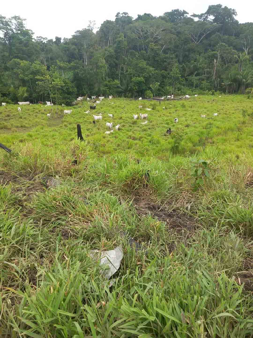 WhatsApp_Image_2026-03-09_at_08.46.38-3.jpeg